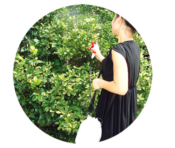 微信图片_20170822122551